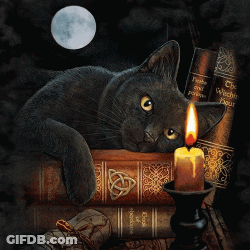 Black Cat Laying On Stack Of Books With Candle GIF