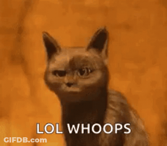 Black Cat Lol Whoops GIF