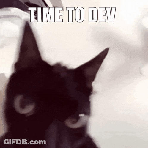 Black Cat Looking At Camera Saying Time To Dev GIF