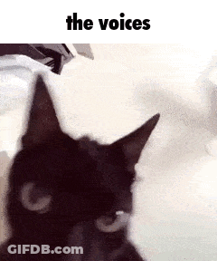 Black Cat Looking At Camera With The Voices GIF