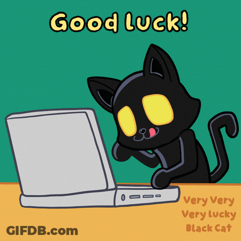 Black Cat Looking At Laptop Good Luck Very Very Lucky Black Cat GIF