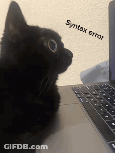 Black Cat Looking At Laptop Saying Syntax Error GIF