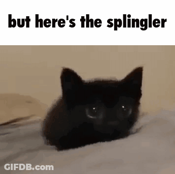 Black Cat Lying On Bed With Caption GIF