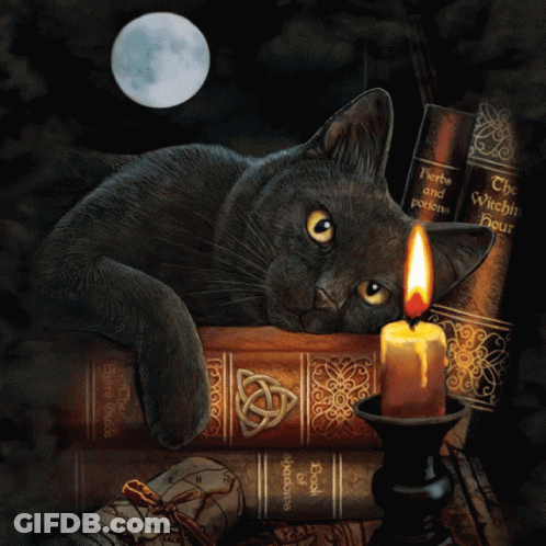 Black Cat Lying On Stack Of Books Including Book Of Witchcraft GIF