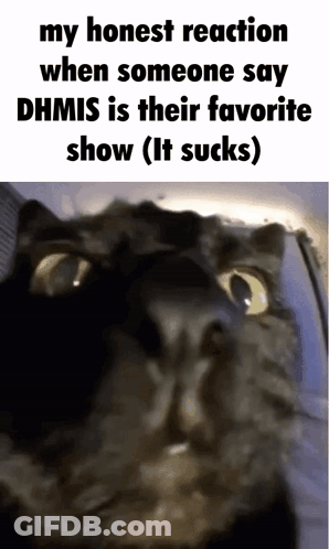 Black Cat My Honest Reaction When Someone Says DHMIS GIF