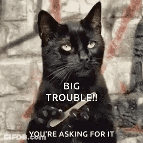 Black Cat Nail File Big Trouble GIF