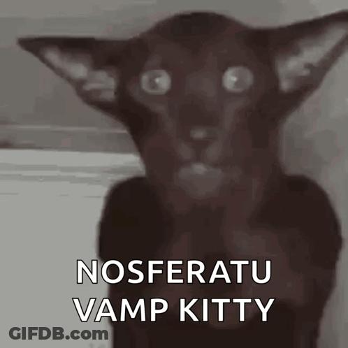 Black Cat Nosferatu Vamp Kitty GIF