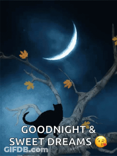 Black Cat On Branch Goodnight Sweet Dreams GIF