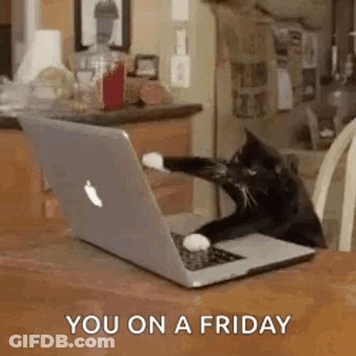 Black Cat On Friday Typing Meme GIF