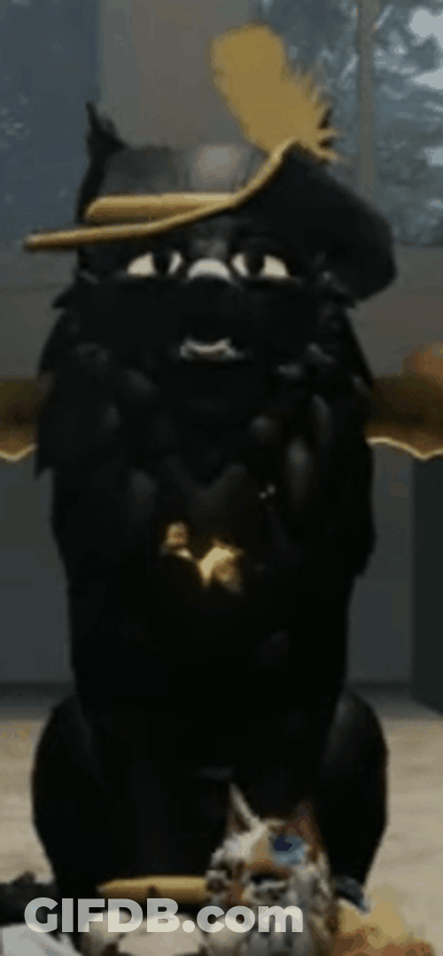 Black Cat On Hat Screaming GIF