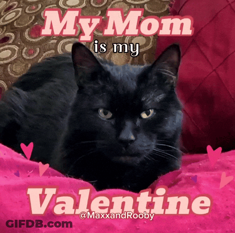 Black Cat On Pink Pillow My Mom Is My Valentine GIF