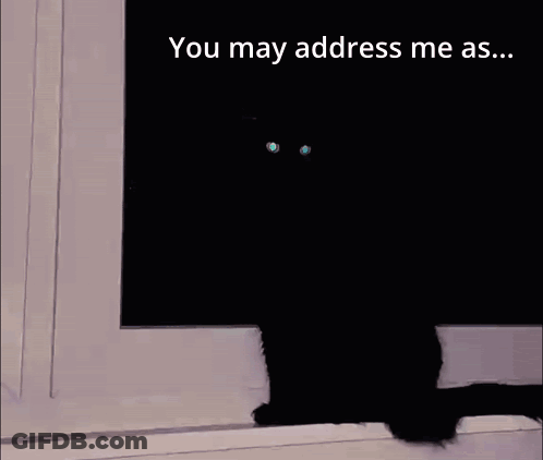 Black Cat On Window Sill Saying The Fool GIF