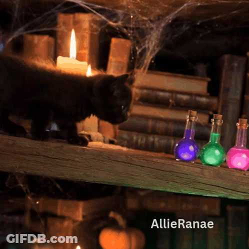 Black Cat On Wooden Shelf Next To Potions And Candle GIF