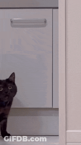 Black Cat Peeking From Behind Cabinet GIF
