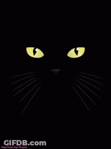 Black Cat Pink Tongue Hello Saturday GIF