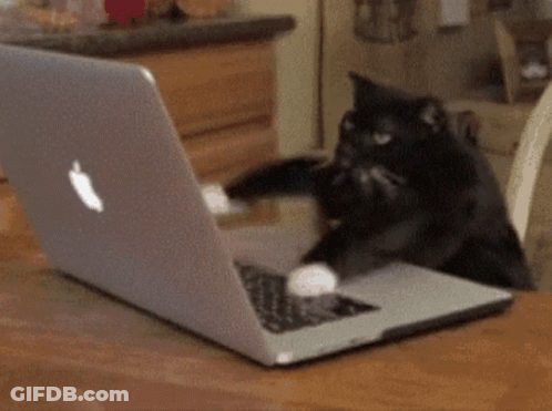 Black Cat Playing With Apple Laptop GIF