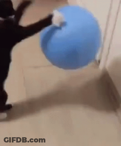 Black Cat Playing With Blue Ball GIF