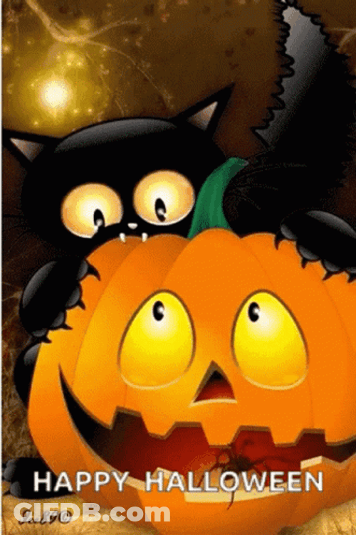 Black Cat Pumpkin Good Morning Halloween GIF