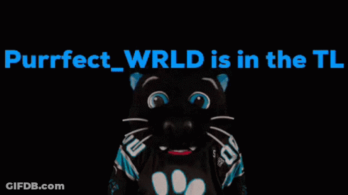 Black Cat Purrfect Wrld GIF