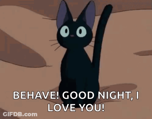Black Cat Saying Behave Good Night Love GIF