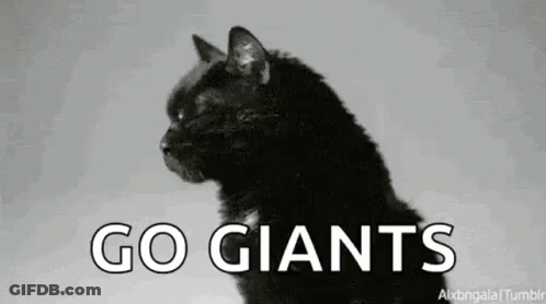Black Cat Saying Go Giants GIF