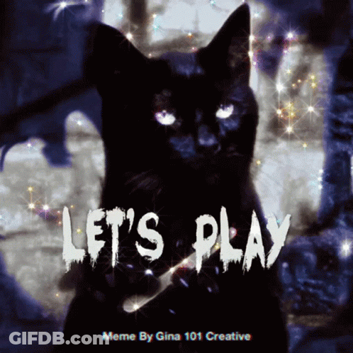 Black Cat Saying Let's Play GIF