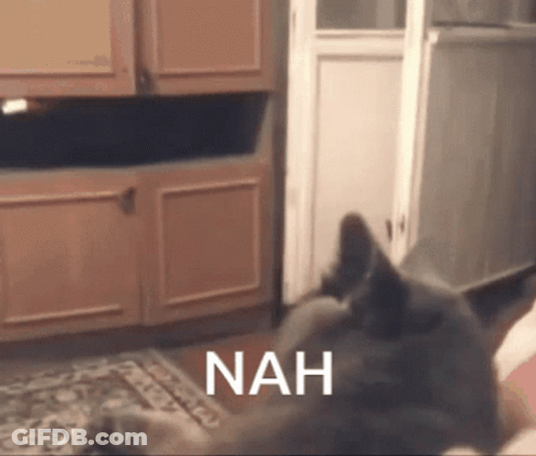 Black Cat Saying Nah GIF