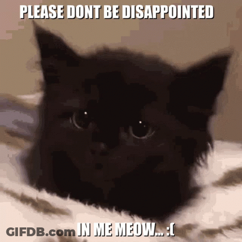 Black Cat Saying Please Don't Be Disappointed In Me Meow GIF