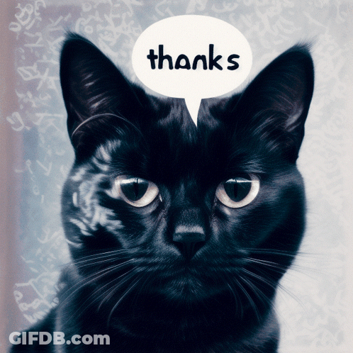 Black Cat Saying Thanks GIF