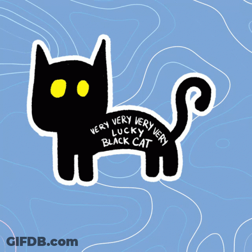 Black Cat Saying Very Very Lucky Very Black Cat GIF