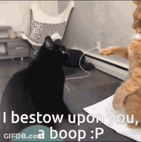 Black Cat Says I Bestow Upon You Boop GIF