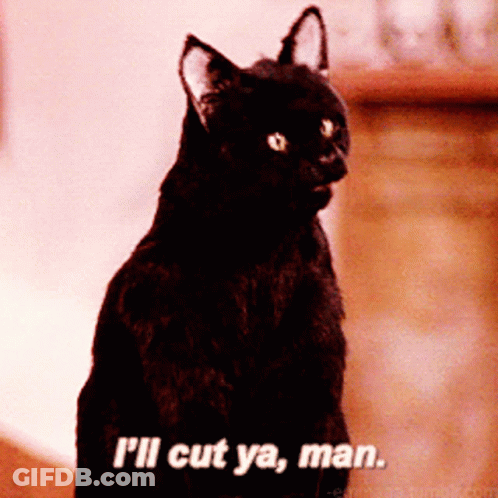 Black Cat Says I'll Cut Ya Man GIF