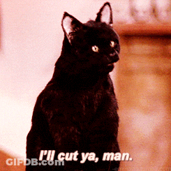 Black Cat Says I'll Cut Ya Man GIF