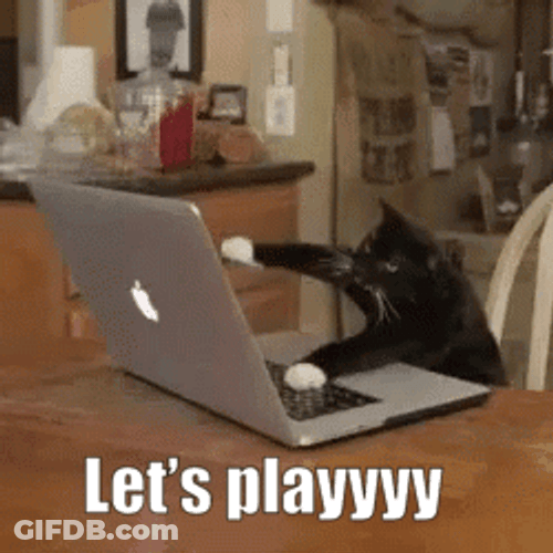 Black Cat Says Let's Play Typing Meme GIF