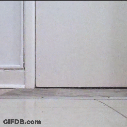 Black Cat Scared Run GIF