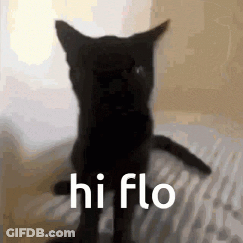 Black Cat Silhouette Hi Flo GIF