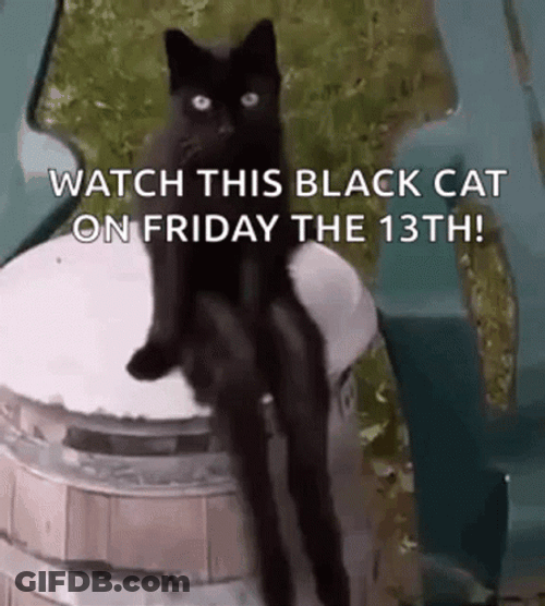 Black Cat Sitting Friday The 13Th GIF