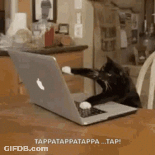 Black Cat Sitting In Front Of Apple Laptop GIF