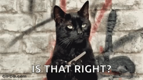 Black Cat Sitting In Front Of Brick Wall Holding Nail File GIF