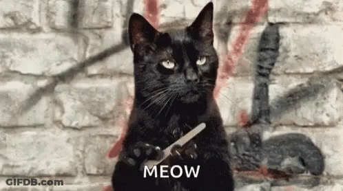 Black Cat Sitting In Front Of Brick Wall Holding Scissors GIF