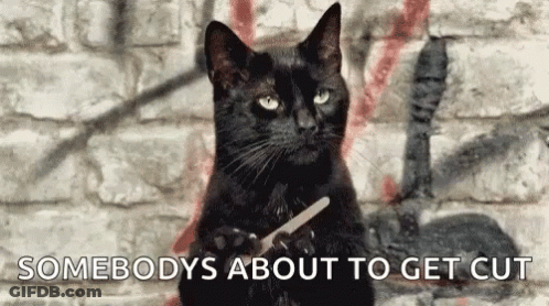 Black Cat Sitting In Front Of Brick Wall Holding Scissors GIF