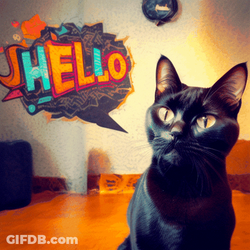 Black Cat Sitting In Front Of Hello Speech Bubble GIF
