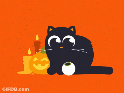 Black Cat Sitting Next To Halloween Pumpkin And Candles GIF