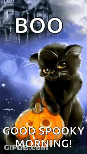 Black Cat Sitting Next To Pumpkin Saying Boo Good Spooky Morning GIF