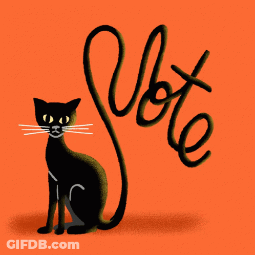 Black Cat Sitting Next To Vote GIF