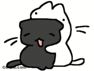 Black Cat Sitting Next To White Cat GIF