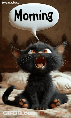 Black Cat Sitting On Bed Saying Morning GIF