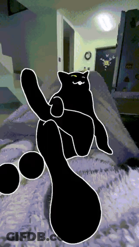 Black Cat Sitting On Blanket GIF