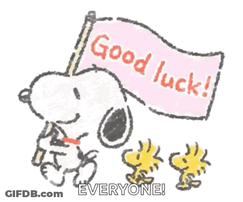 Black Cat Sitting On Bun Saying Good Luck GIF