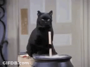 Black Cat Sitting On Cauldron Holding Stick GIF